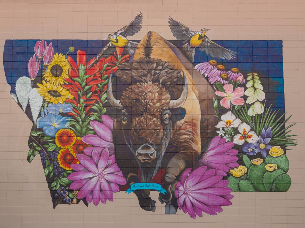 Bison Mural
