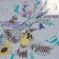 Meadowlark & Spoon Mural 