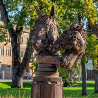 Erin's Riverside Horses