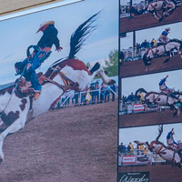 Lunatic Fringe Photos