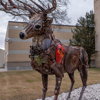 Mule Deer Sculpture